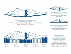 Familon Zone Joustinsänky 120x200 Cm, Tummanharmaa -Muut kalusteet Myynti 2023 zone2 5